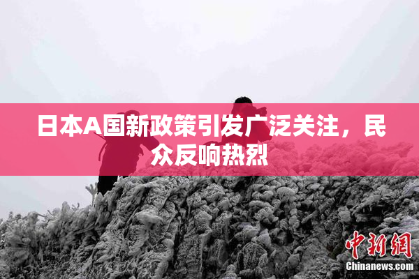 日本A国新政策引发广泛关注，民众反响热烈