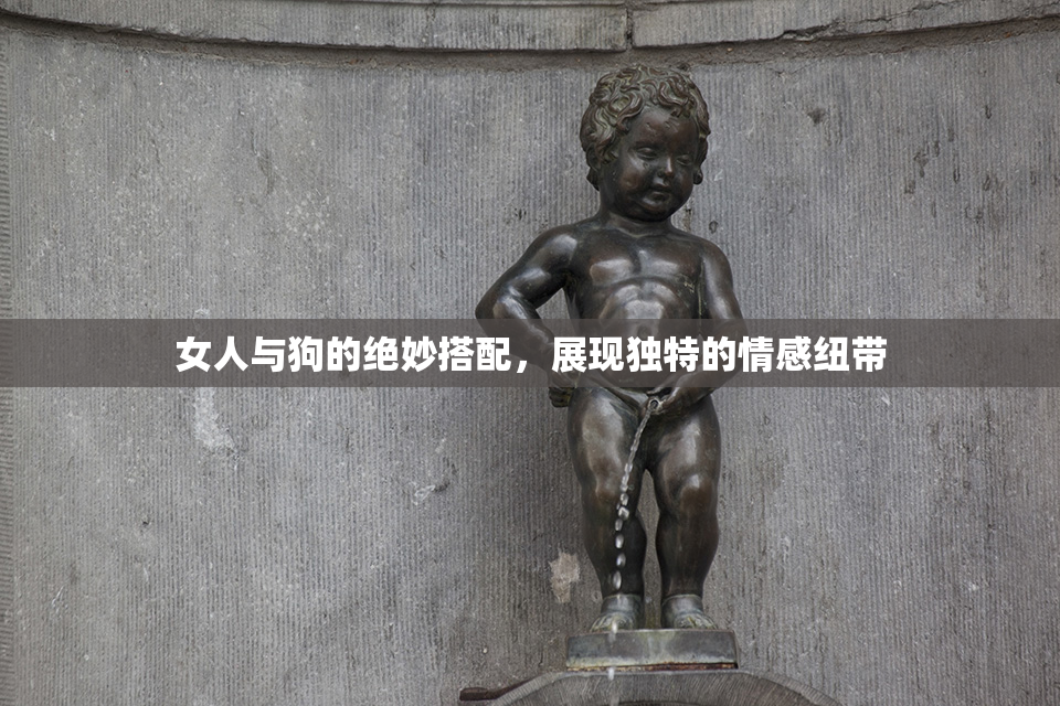 女人与狗的绝妙搭配，展现独特的情感纽带