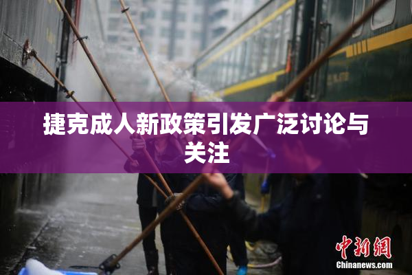 捷克成人新政策引发广泛讨论与关注