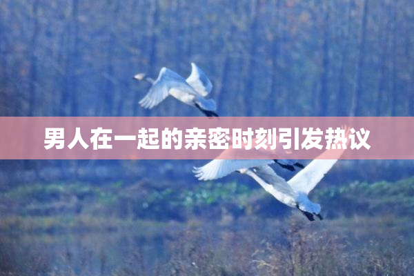男人在一起的亲密时刻引发热议