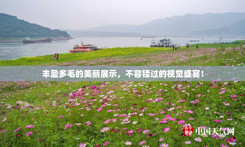 丰盈多毛的美丽展示，不容错过的视觉盛宴！