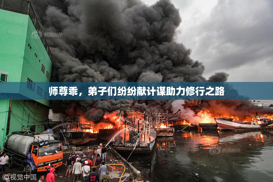 师尊乖，弟子们纷纷献计谋助力修行之路