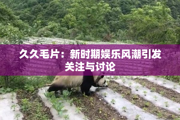 久久毛片：新时期娱乐风潮引发关注与讨论