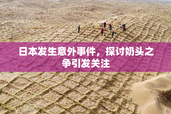 日本发生意外事件，探讨奶头之争引发关注