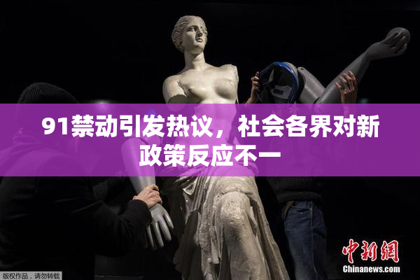 91禁动引发热议，社会各界对新政策反应不一