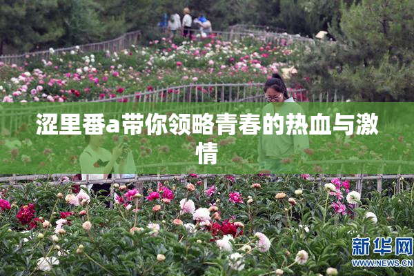 涩里番a带你领略青春的热血与激情