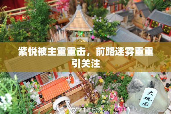紫悦被主重重击,前路迷雾重重引关注