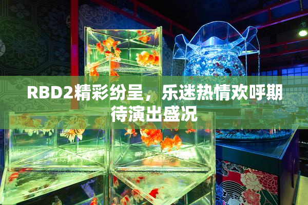 RBD2精彩纷呈，乐迷热情欢呼期待演出盛况