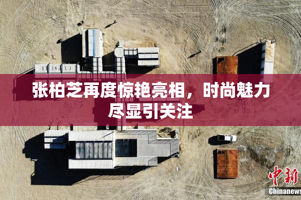 张柏芝再度惊艳亮相，时尚魅力尽显引关注