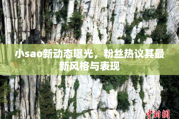 小sao新动态曝光，粉丝热议其最新风格与表现