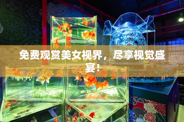 免费观赏美女视界，尽享视觉盛宴！
