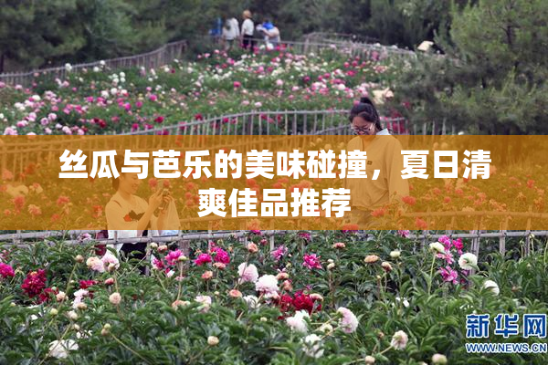 丝瓜与芭乐的美味碰撞，夏日清爽佳品推荐