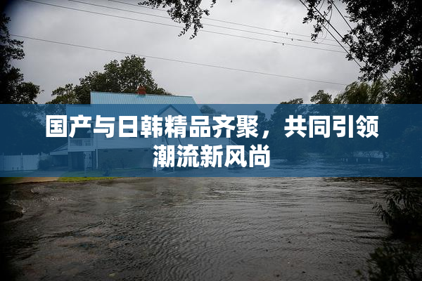 国产与日韩精品齐聚，共同引领潮流新风尚