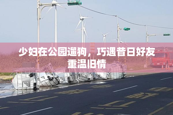 少妇在公园遛狗，巧遇昔日好友重温旧情