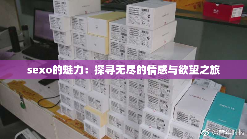 sexo的魅力：探寻无尽的情感与欲望之旅