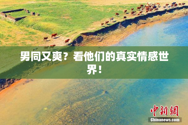 男同又爽？看他们的真实情感世界！