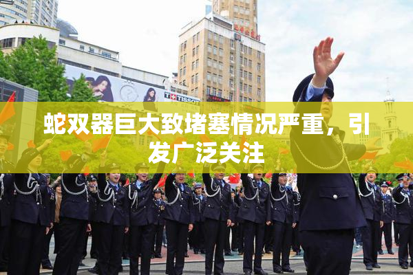 蛇双器巨大致堵塞情况严重，引发广泛关注