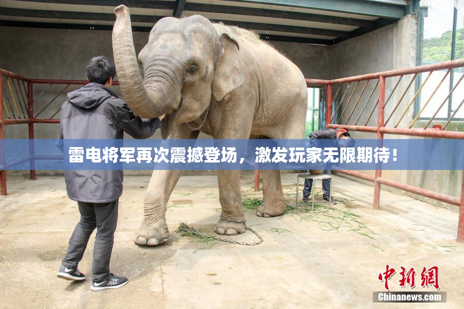 雷电将军再次震撼登场，激发玩家无限期待！