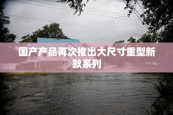 国产产品再次推出大尺寸重型新款系列
