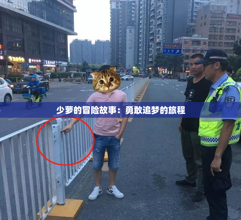 少萝的冒险故事：勇敢追梦的旅程