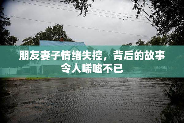 朋友妻子情绪失控，背后的故事令人唏嘘不已