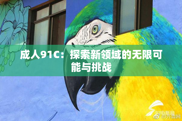 成人91C：探索新领域的无限可能与挑战