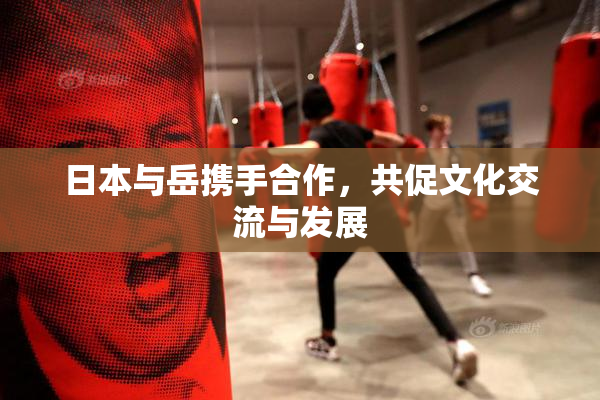 日本与岳携手合作，共促文化交流与发展