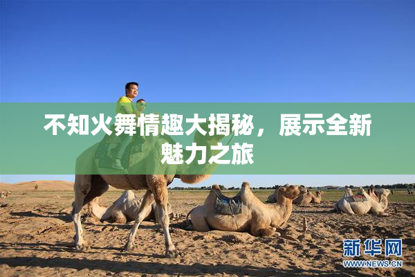 不知火舞情趣大揭秘，展示全新魅力之旅