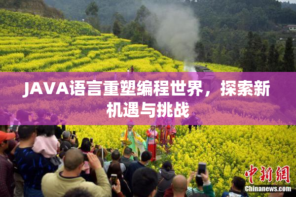 JAVA语言重塑编程世界，探索新机遇与挑战