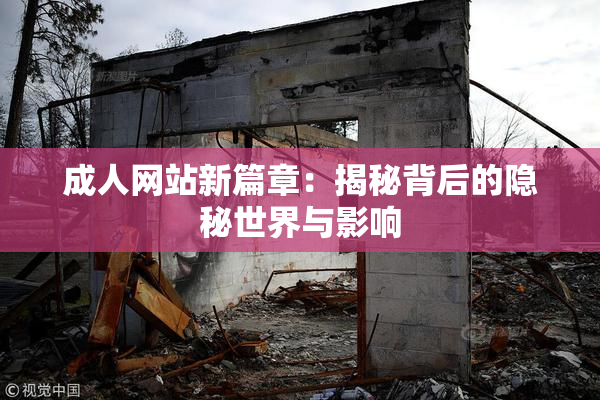 成人网站新篇章：揭秘背后的隐秘世界与影响