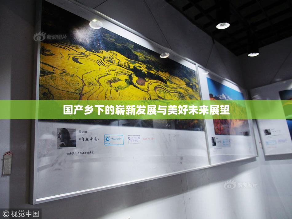 国产乡下的崭新发展与美好未来展望