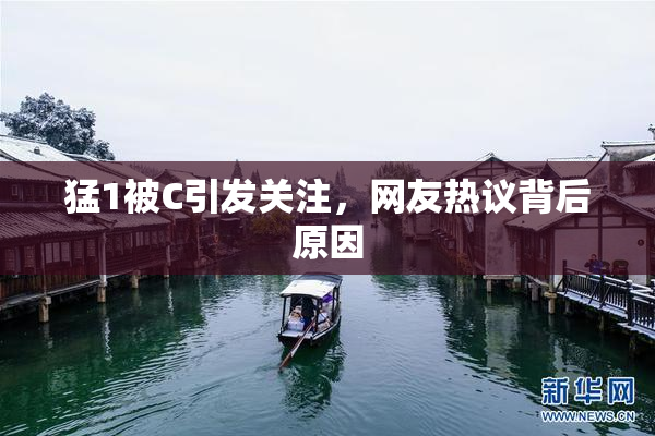 猛1被C引发关注，网友热议背后原因