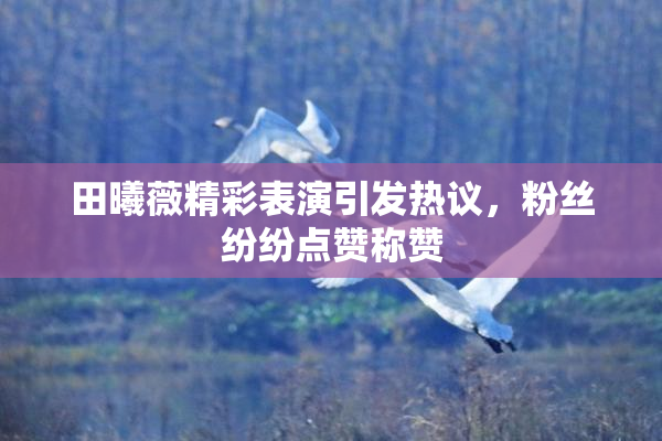 田曦薇精彩表演引发热议，粉丝纷纷点赞称赞