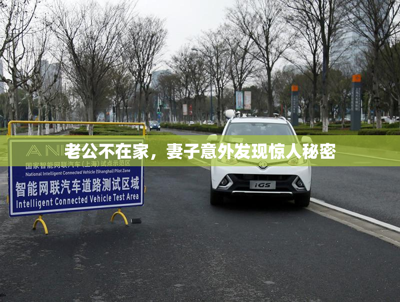 老公不在家，妻子意外发现惊人秘密