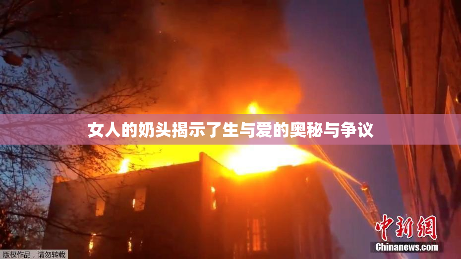 女人的奶头揭示了生与爱的奥秘与争议
