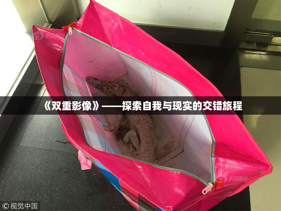 《双重影像》——探索自我与现实的交错旅程