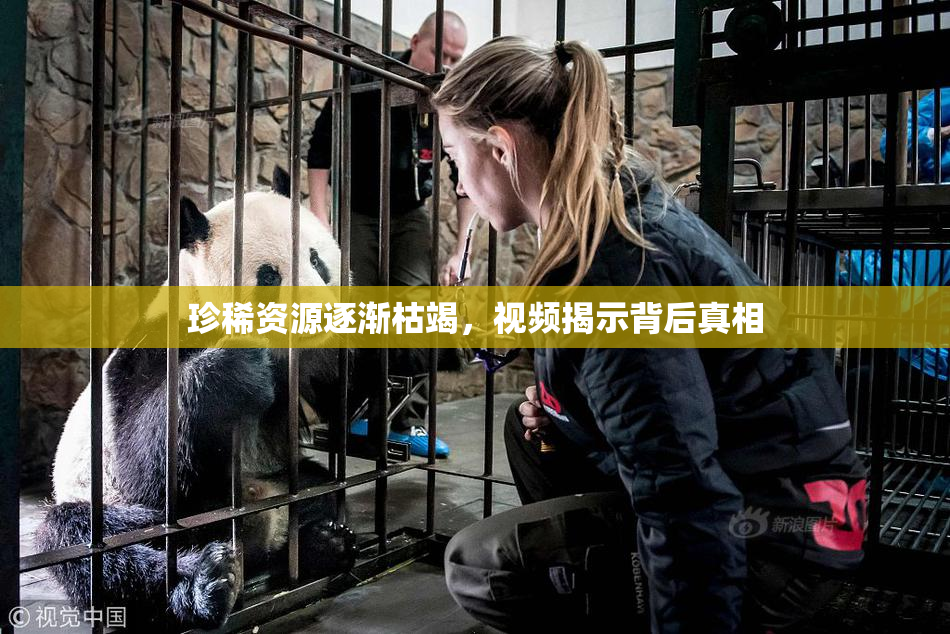 珍稀资源逐渐枯竭,视频揭示背后真相