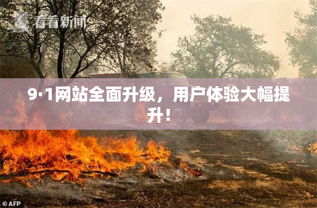 9·1网站全面升级，用户体验大幅提升！