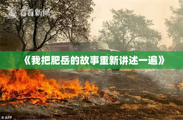 《我把肥岳的故事重新讲述一遍》