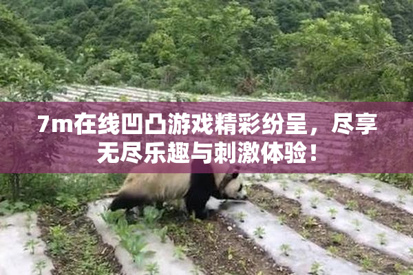 7m在线凹凸游戏精彩纷呈，尽享无尽乐趣与刺激体验！