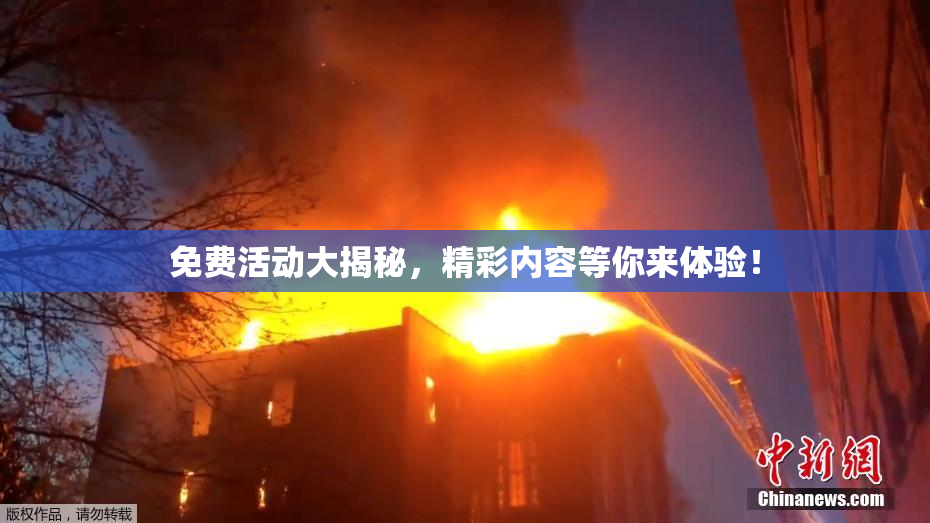 免费活动大揭秘，精彩内容等你来体验！