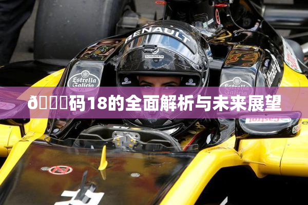 🈚码18的全面解析与未来展望
