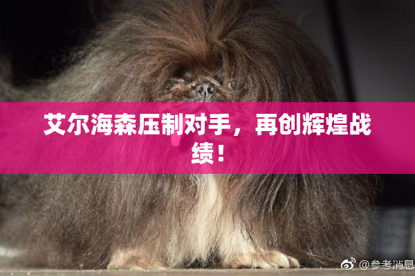 艾尔海森压制对手，再创辉煌战绩！