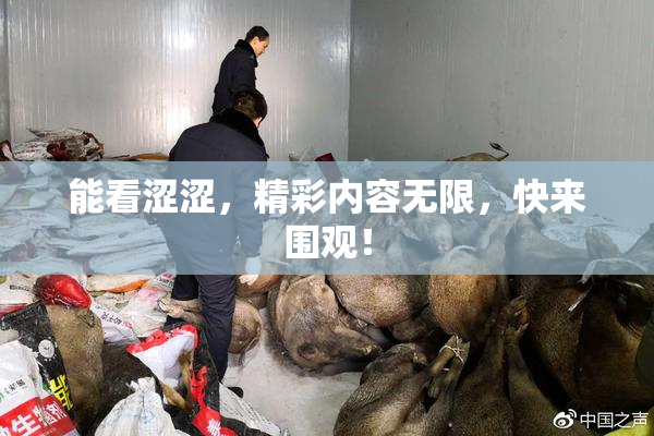 能看涩涩，精彩内容无限，快来围观！