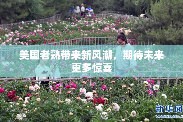 美国老熟带来新风潮，期待未来更多惊喜