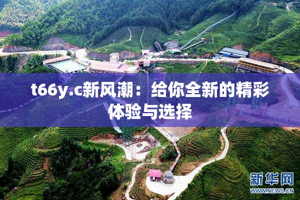 t66y.c新风潮：给你全新的精彩体验与选择