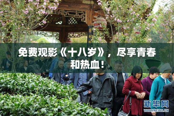 免费观影《十八岁》，尽享青春和热血！