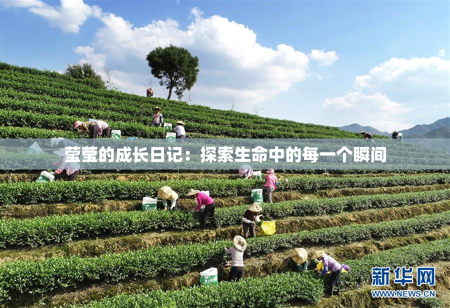 莹莹的成长日记：探索生命中的每一个瞬间