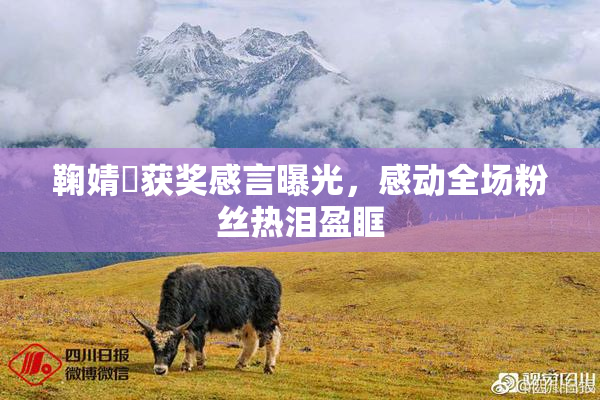 鞠婧祎获奖感言曝光，感动全场粉丝热泪盈眶