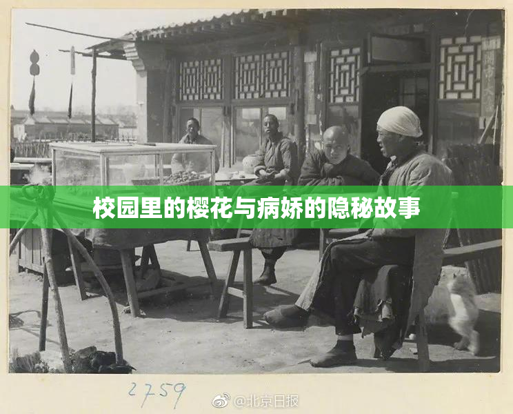 校园里的樱花与病娇的隐秘故事